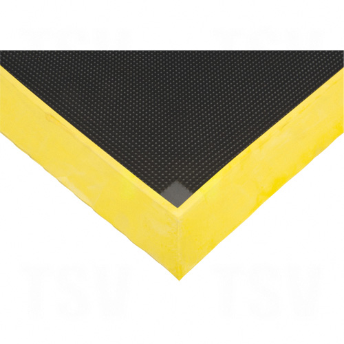 Foot Sanitizing Mat - SDL874